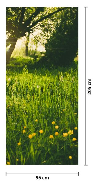 Fototapet pentru ușă - Luncă (95x205cm)