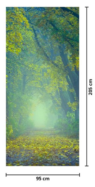 Fototapet pentru ușă - Drum mărginit de copaci (95x205cm)