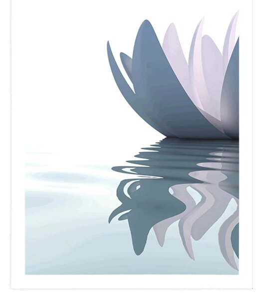 Poster floare de lotus în râu