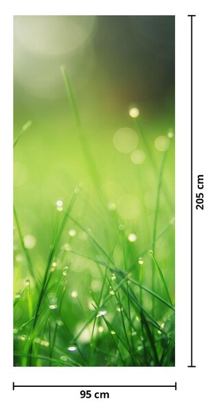 Fototapet pentru ușă - Rouă pe iarbă (95x205cm)