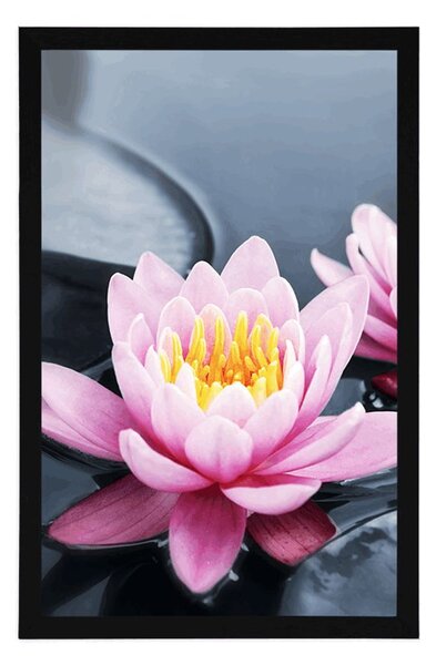 Poster floare de lotus în lac