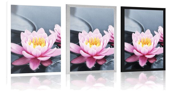 Poster floare de lotus în lac