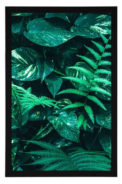 Poster frunze tropicale proaspete
