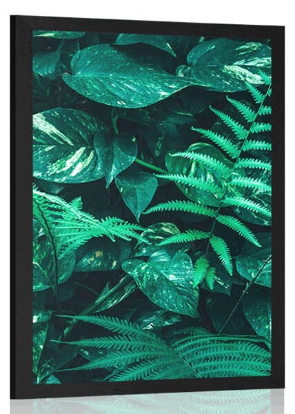 Poster frunze tropicale proaspete