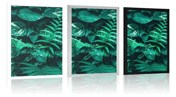 Poster frunze tropicale proaspete