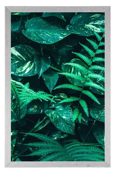 Poster frunze tropicale proaspete