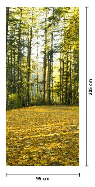 Fototapet pentru ușă - Pădurea toamna (95x205cm)
