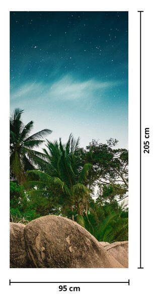 Fototapet pentru ușă - Palmieri (95x205cm)