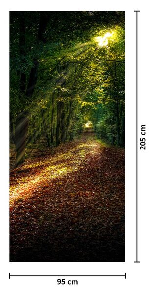 Fototapet pentru ușă - Drum forestier (95x205cm)