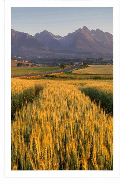 Poster apus de soare deasupra câmpului de grâu