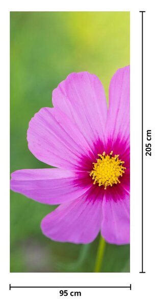 Fototapet pentru ușă - Flori de câmp (95x205cm)
