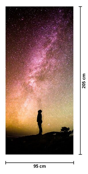 Fototapet pentru ușă - Cer plin de stele (95x205cm)