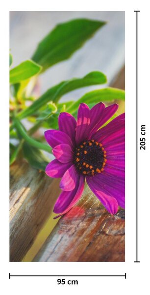 Fototapet pentru ușă - flori tăiate (95x205cm)