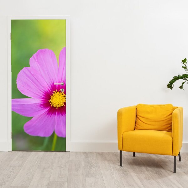 Fototapet pentru ușă - Flori de câmp (95x205cm)