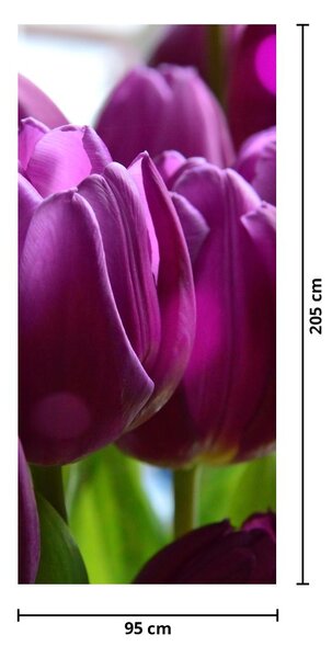 Fototapet pentru ușă - Lalele (95x205cm)