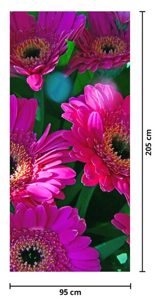 Fototapet pentru ușă - Flori (95x205cm)