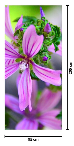 Fototapet pentru ușă - Floare în prim plan (95x205cm)