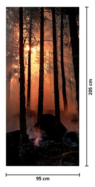 Fototapet pentru ușă - Pădurea întunecată (95x205cm)