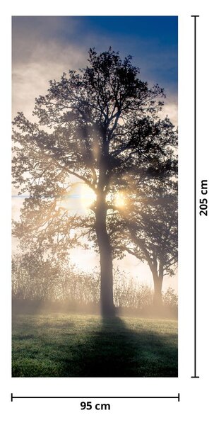 Fototapet pentru ușă - Copacul în ceață (95x205cm)