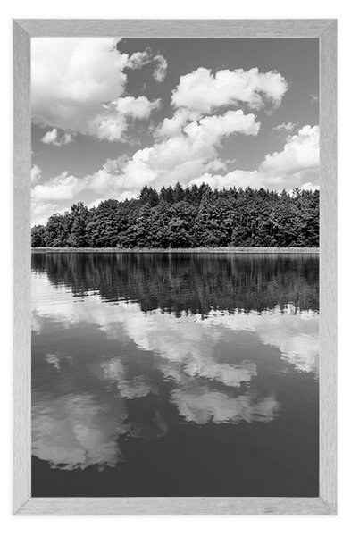 Poster natura în perioada de vară în design alb-negru