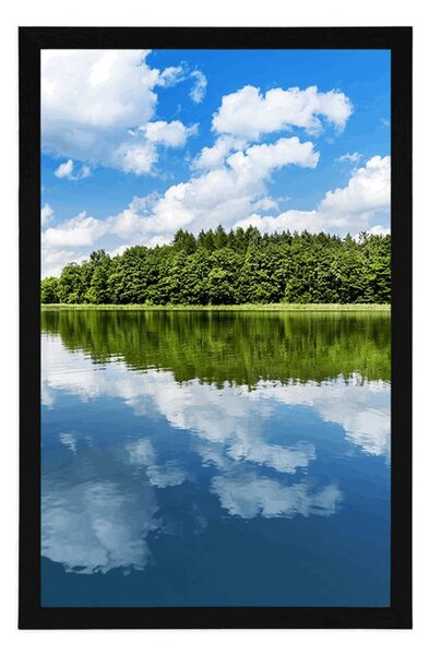 Poster natura în perioada de vară