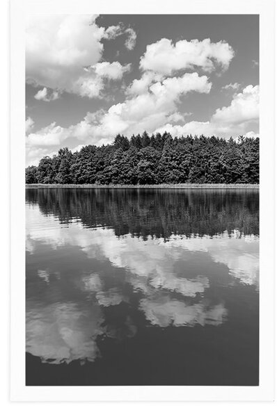 Poster natura în perioada de vară în design alb-negru