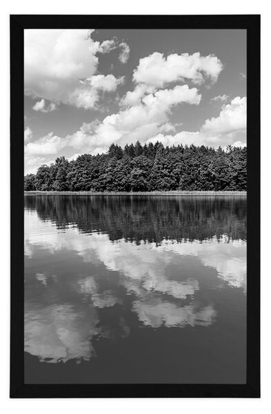 Poster natura în perioada de vară în design alb-negru