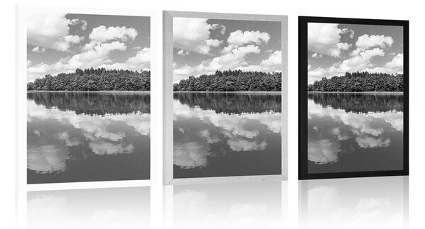 Poster natura în perioada de vară în design alb-negru