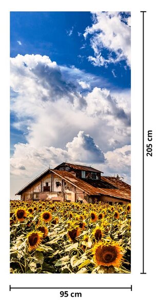Fototapet pentru ușă - câmp cu floarea soarelui (95x205cm)