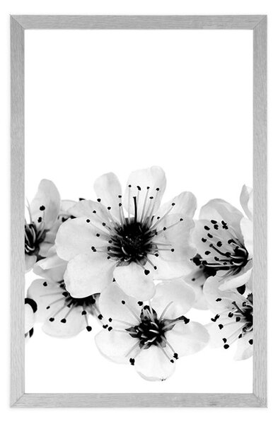 Poster flori de cireș în design alb-negru