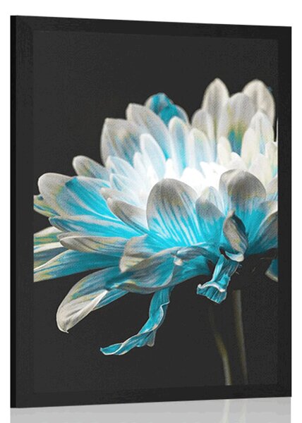 Poster margarete pe fundal negru