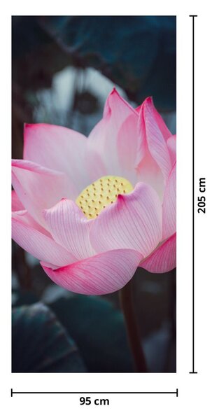 Fototapet pentru ușă - Flori roz (95x205cm)