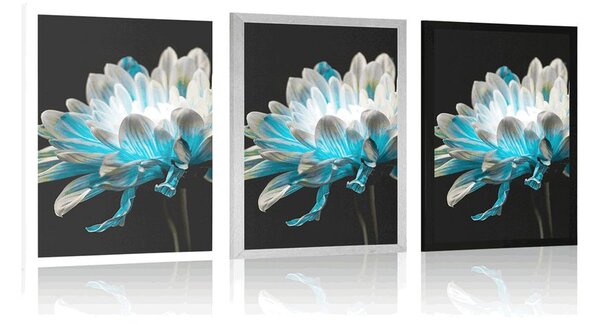 Poster margarete pe fundal negru