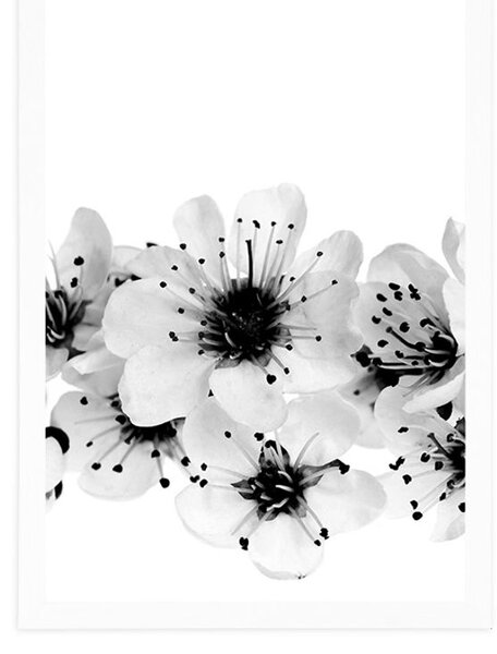 Poster flori de cireș în design alb-negru
