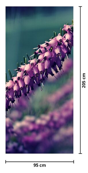 Fototapet pentru ușă - Lavandă (95x205cm)