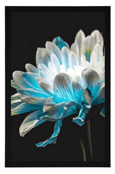 Poster margarete pe fundal negru