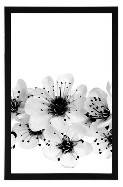 Poster flori de cireș în design alb-negru