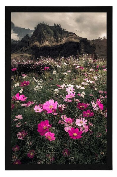 Poster luncă de flori înflorite