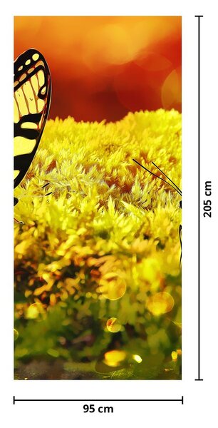 Fototapet pentru ușă - Fluturi (95x205cm)