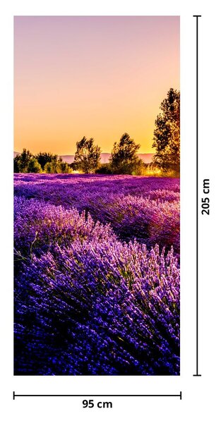 Fototapet pentru ușă - Câmp cu lavandă (95x205cm)