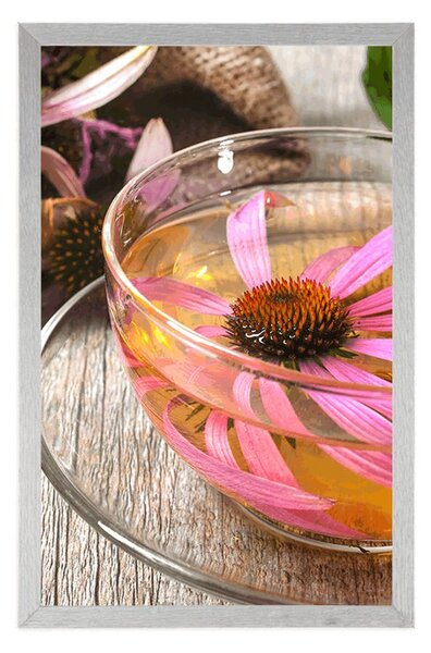 Poster cană de ceai de plante medicinale