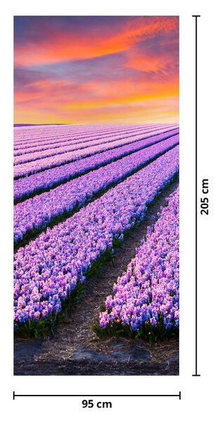 Fototapet pentru ușă - Fermă de flori (95x205cm)