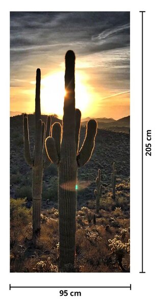 Fototapet pentru ușă - Cactuși la soare (95x205cm)