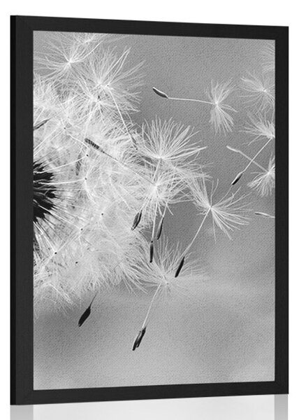 Poster păpădie magică în design alb-negru