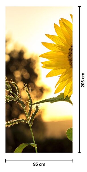 Fototapet pentru ușă - Floarea soarelui (95x205cm)