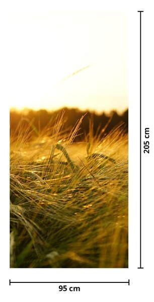 Fototapet pentru ușă - Iarba cu rouă (95x205cm)