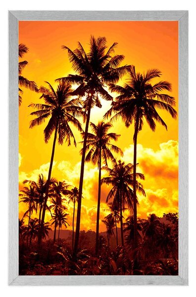 Poster palmieri de cocos pe plajă