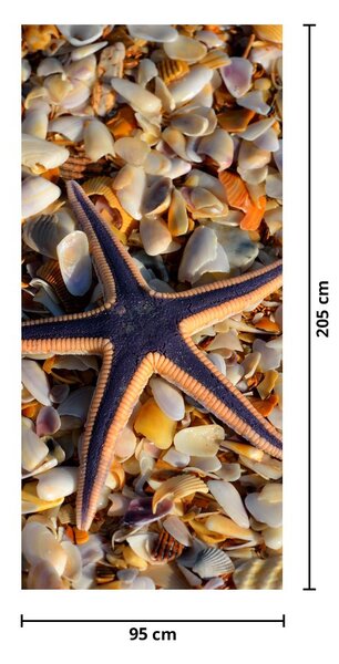 Fototapet pentru ușă - Stea de mare (95x205cm)