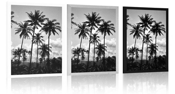 Poster palmieri de cocos pe plajă în design alb-negru