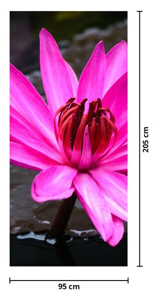 Fototapet pentru ușă - Floare roz (95x205cm)